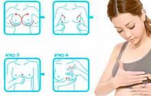 Как делать массаж груди: для увеличения бюста, для грудных желез после родов, вакуумный, противопоказания к процедуре Массаж для увеличения груди